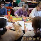 zdjęcie nr 14