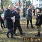 zdjęcie nr 25
