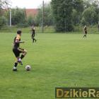 zdjęcie nr 35