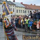 zdjęcie nr 229