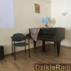 zdjęcie nr 15