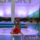 zdjęcie nr 7