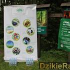 zdjęcie nr 29