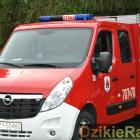 zdjęcie nr 10