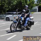 zdjęcie nr 23