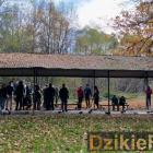 zdjęcie nr 34