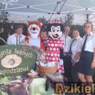 zdjęcie nr 15