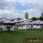 zdjęcie nr 330