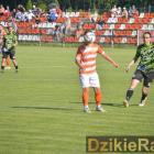 zdjęcie nr 33