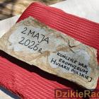 zdjęcie nr 10