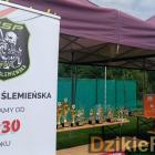 zdjęcie nr 413