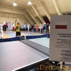 Fotka nr 1 z 11