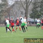 zdjęcie nr 45