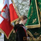 zdjęcie nr 33