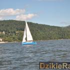 zdjęcie nr 230