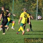 zdjęcie nr 97