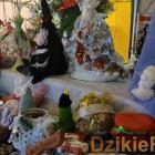 zdjęcie nr 47