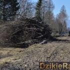 Fotka nr 2 z 15