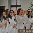zdjęcie nr 201
