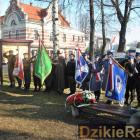 zdjęcie nr 19