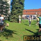 zdjęcie nr 18