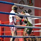 zdjęcie nr 20
