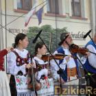 zdjęcie nr 247