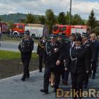 zdjęcie nr 31