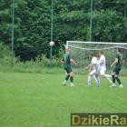 zdjęcie nr 14