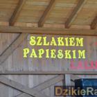zdjęcie nr 11