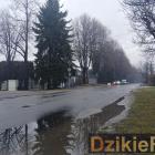 Fotka nr 3 z 4