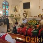 zdjęcie nr 