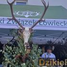 zdjęcie nr 51