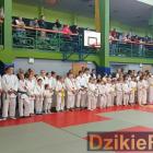 zdjęcie nr 88