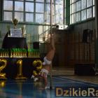 zdjęcie nr 19