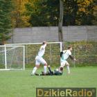 zdjęcie nr 97