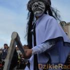 zdjęcie nr 301