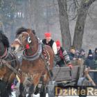zdjęcie nr 89