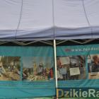 zdjęcie nr 14