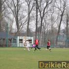 zdjęcie nr 145