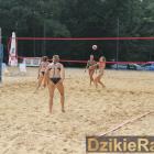 zdjęcie nr 36