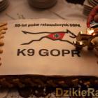 Fot. GOPR 