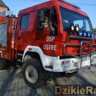 zdjęcie nr 10