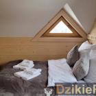 zdjęcie nr 11