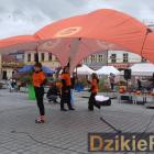 zdjęcie nr 189