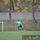 zdjęcie nr 42