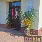 zdjęcie nr 40