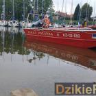 zdjęcie nr 274