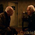 Fotka nr 1 z 8