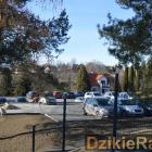 zdjęcie nr 13